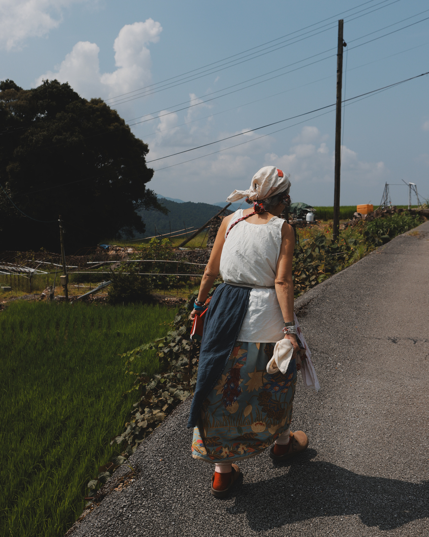 <?php the_title(); ?>