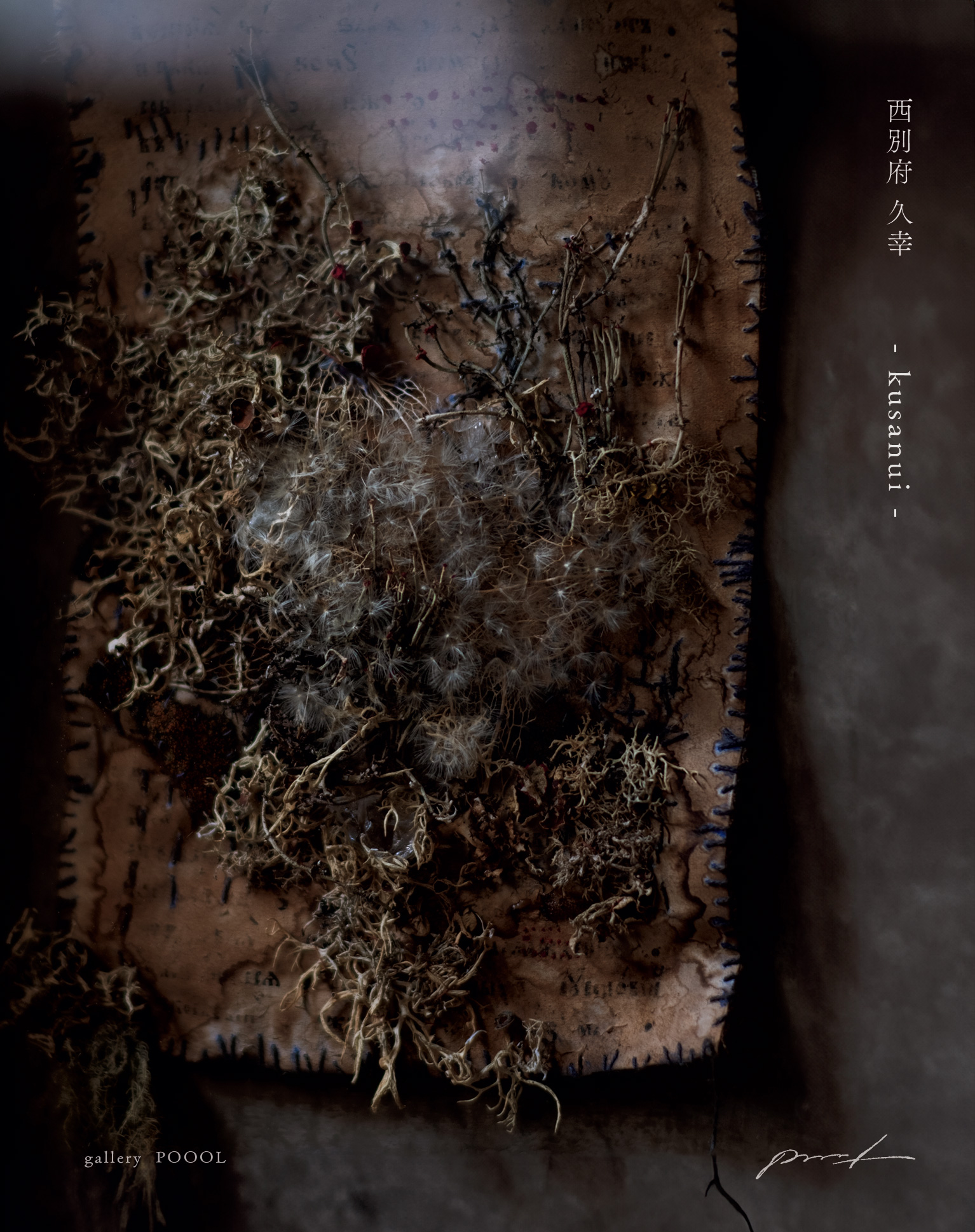 <?php the_title(); ?>